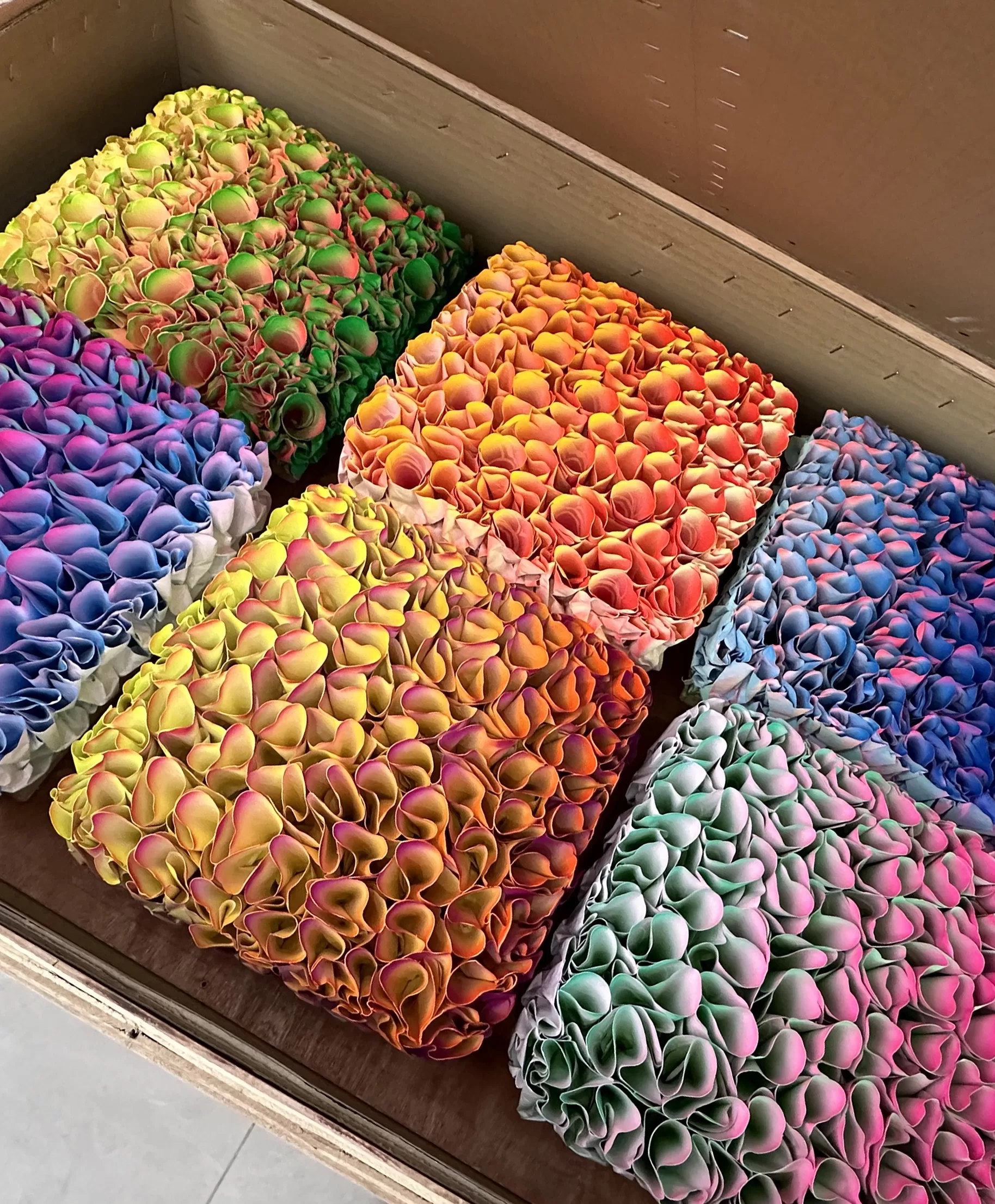 莊紅藝「Shades of Blossoms 春花弄影 」澳門首展